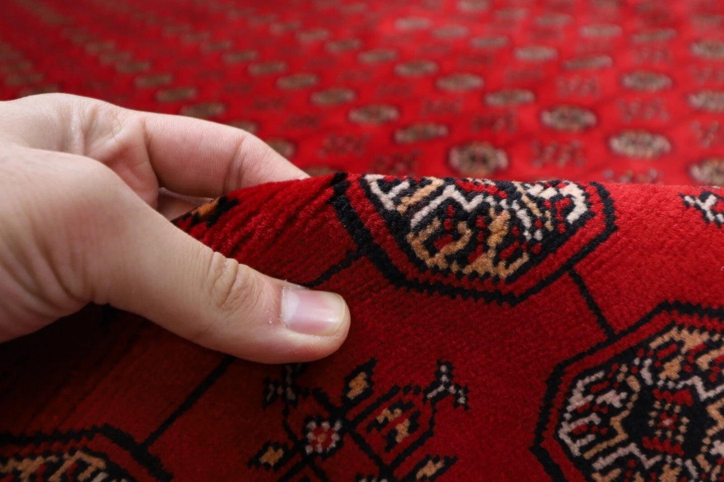 252 x 347 cm | Fine Bokhara Afghan Tribal Hand Knotted Carpet