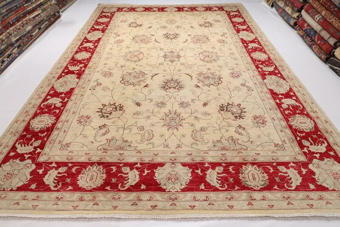 303 x 418 cm | Chobi Beige Afghan Tribal Hand Knotted Carpet