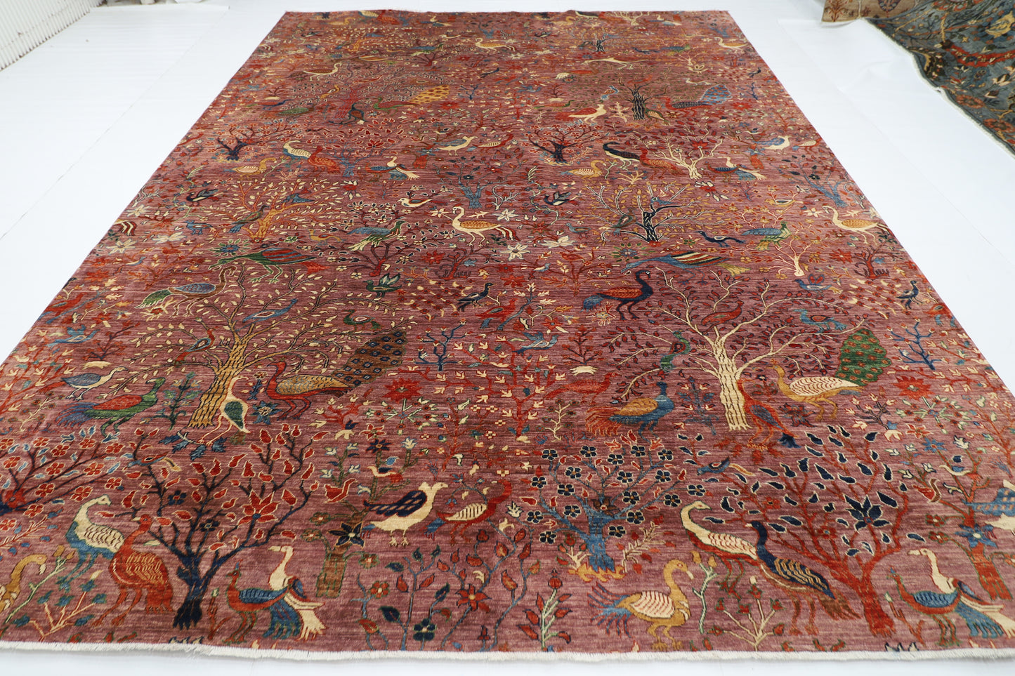 306 x 419 cm | Birds Tree of life Pink Area Rug Afghan Hand Knotted Veg Dye Wool carpet