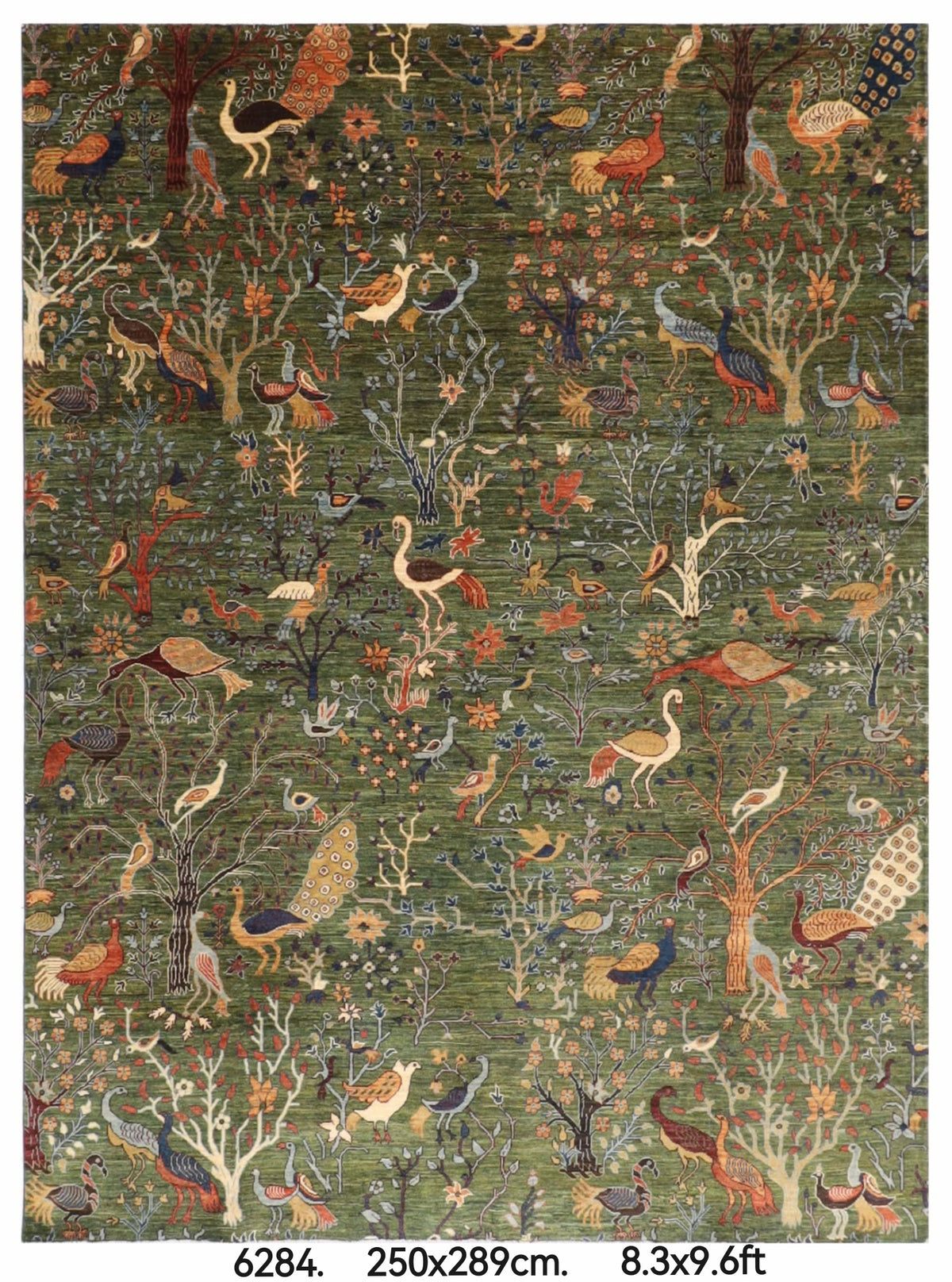 250 x 289 cm | Birds Afghan Veg Dye Wool carpet
